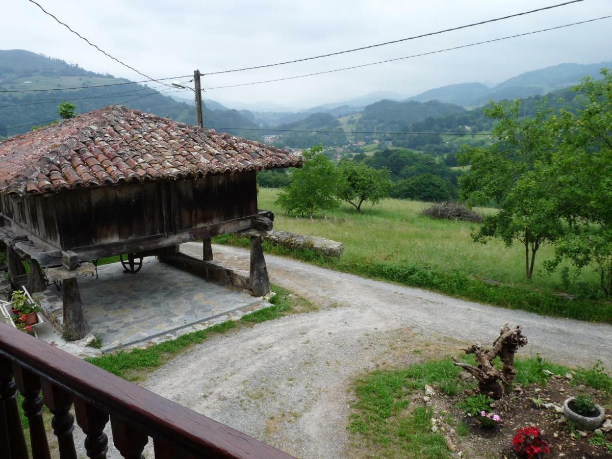 Narciandi Casa Irisゲストハウス エクステリア 写真